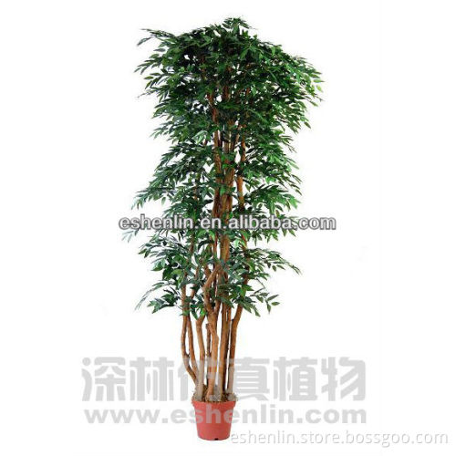 big artificial eucalyptus trees(ten trunks),plastic trees